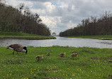 Schlosspark Nymphenburg