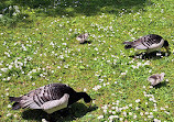 Schlosspark Nymphenburg