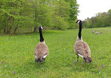 Schlosspark Nymphenburg