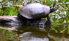 Clay Pit Ponds State Park