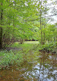 Clay Pit Ponds State Park