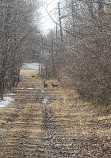 Clay Pit Ponds State Park