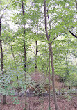 Clay Pit Ponds State Park