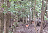 Clay Pit Ponds State Park