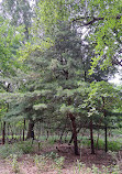 Clay Pit Ponds State Park