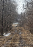 Clay Pit Ponds State Park