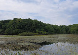 Clay Pit Ponds State Park