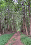 Clay Pit Ponds State Park