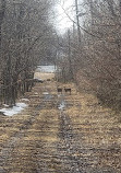 Clay Pit Ponds State Park