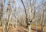 Clay Pit Ponds State Park