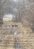 Clay Pit Ponds State Park