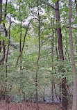 Clay Pit Ponds State Park