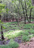 Clay Pit Ponds State Park