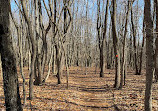 Clay Pit Ponds State Park