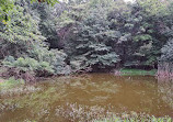 Clay Pit Ponds State Park