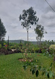 Tirumala Chakratheertham