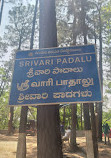 Srivari Paadaalu