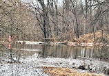 Allison Pond Park