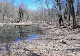 Allison Pond Park