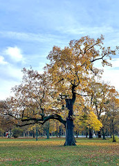 Park Prater