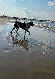 Bayshore Waterfront Park