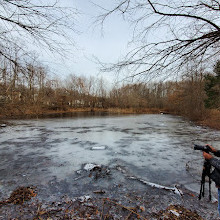 Blue Heron Park