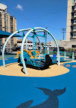 Magnolia Playground