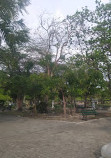 Apolo Park