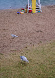 Plage Jean-Doré