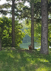 Jean-Doré Beach