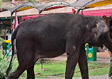 Taman Safari Indonesia Bogor