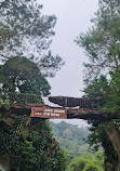 Taman Safari Indonesia Bogor