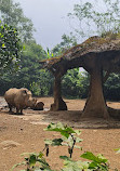 Taman Safari Indonesia Bogor