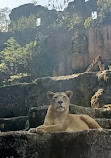 Taman Safari Indonesia Bogor