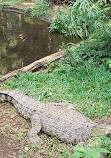 Taman Safari Indonesia Bogor