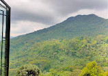 Taman Safari Indonesia Bogor