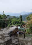 Taman Safari Indonesia Bogor