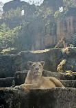 Taman Safari Indonesia Bogor