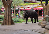 Taman Safari Indonesia Bogor