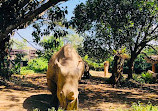 Taman Safari Indonesia Bogor