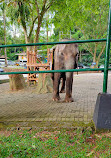 Taman Safari Indonesia Bogor