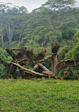 Taman Safari Indonesia Bogor