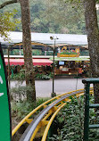 Taman Safari Indonesia Bogor