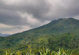 Taman Safari Indonesia Bogor