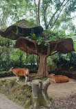 Taman Safari Indonesia Bogor