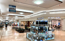 Fort Lauderdale'deki Galleria