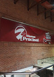 Procinal Tunal