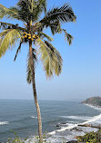 Goa Beaches