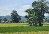 Candi Ijo