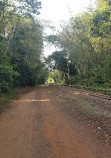 Iguazu Falls